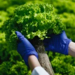 Monitoreo de recarga de acuíferos